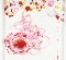 Goldfish and Cake -Petit Lip- 2009 22x19.5x3cm.jpg